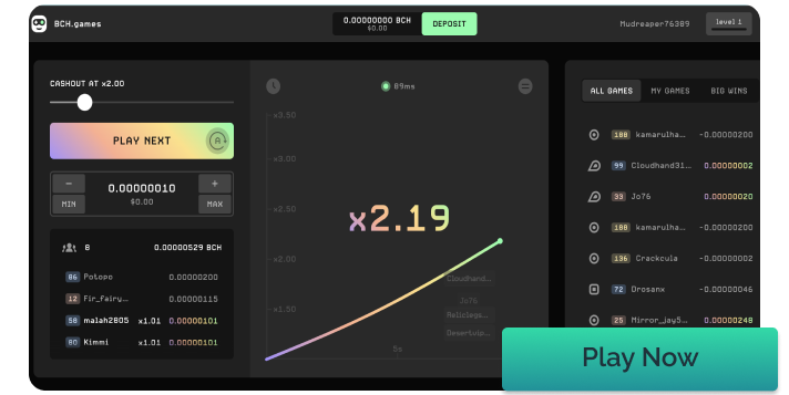 Gameplay of the game BCH Crash
