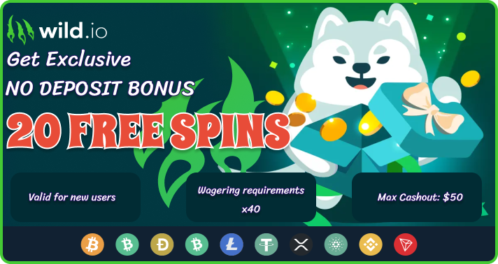 Wild.io Casino No Deposit Free Spins