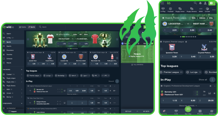 Wild.io Casino Sports Betting Section
